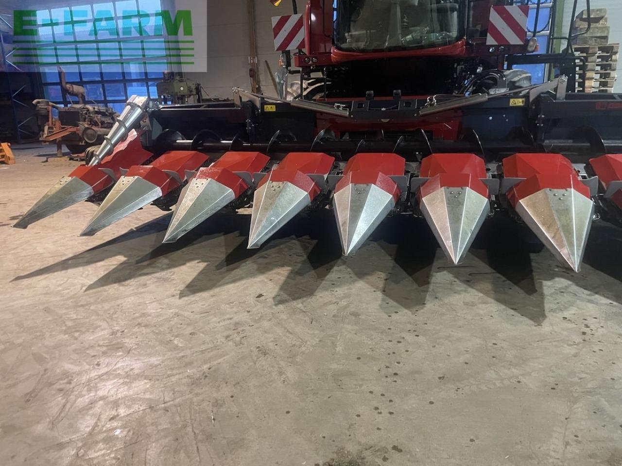 Sonstiges Mähdrescherzubehör typu Dominoni maispflücker 8 reiher, Gebrauchtmaschine v WIESELBURG (Obrázek 6)