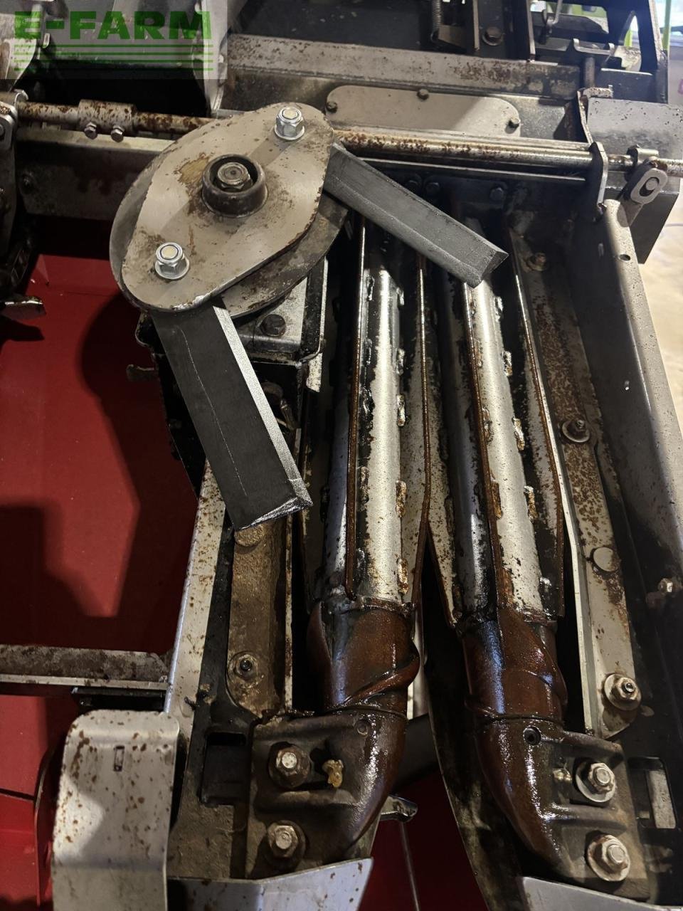 Sonstiges Mähdrescherzubehör typu Dominoni maispflücker 8 reihig, sl 978 bg, Gebrauchtmaschine v WIESELBURG (Obrázek 10)