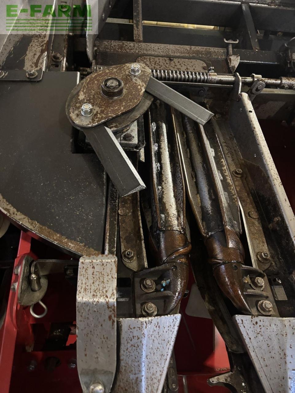 Sonstiges Mähdrescherzubehör typu Dominoni maispflücker 8 reihig, sl 978 bg, Gebrauchtmaschine v WIESELBURG (Obrázek 11)