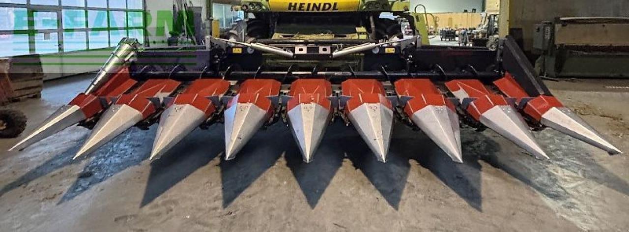 Sonstiges Mähdrescherzubehör des Typs Dominoni maispflücker 8 reihig, Gebrauchtmaschine in WIESELBURG (Bild 1)