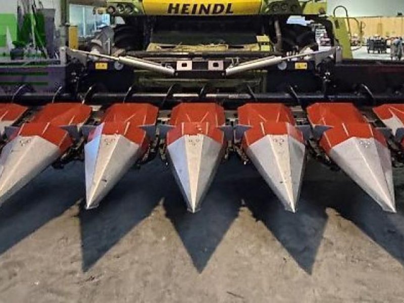 Sonstiges Mähdrescherzubehör des Typs Dominoni maispflücker 8 reihig, Gebrauchtmaschine in WIESELBURG (Bild 1)