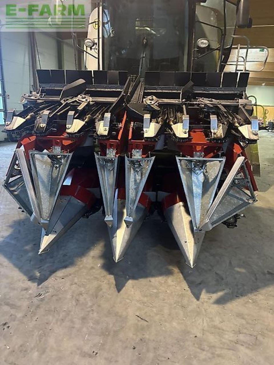 Sonstiges Mähdrescherzubehör des Typs Dominoni maispflücker 8 reihig, Gebrauchtmaschine in WIESELBURG (Bild 2)