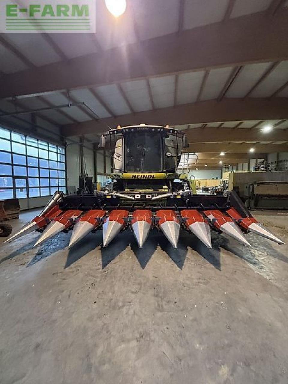 Sonstiges Mähdrescherzubehör des Typs Dominoni maispflücker 8 reihig, Gebrauchtmaschine in WIESELBURG (Bild 8)