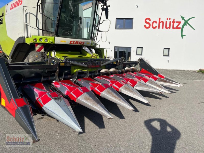Sonstiges Mähdrescherzubehör des Typs Dominoni Maispflücker SL968 8-reihig passend Claas Lexion, Gebrauchtmaschine in Schierling (Bild 1)