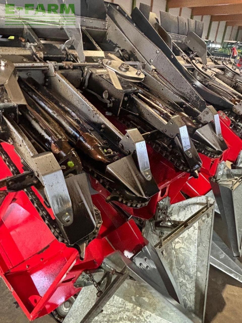 Sonstiges Mähdrescherzubehör typu Dominoni maispflücker sl978bg, Gebrauchtmaschine v WIESELBURG (Obrázek 7)