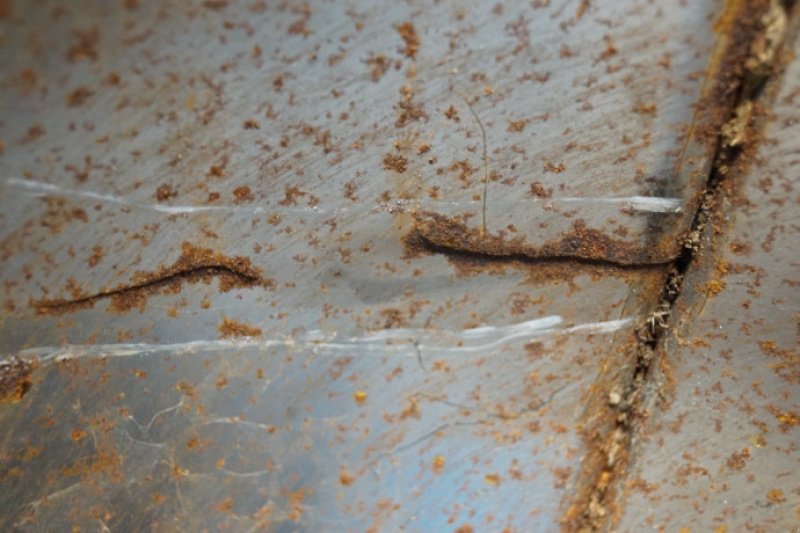 Sonstiges Mähdrescherzubehör des Typs Fendt 6300, Gebrauchtmaschine in Hemmet (Bild 16)