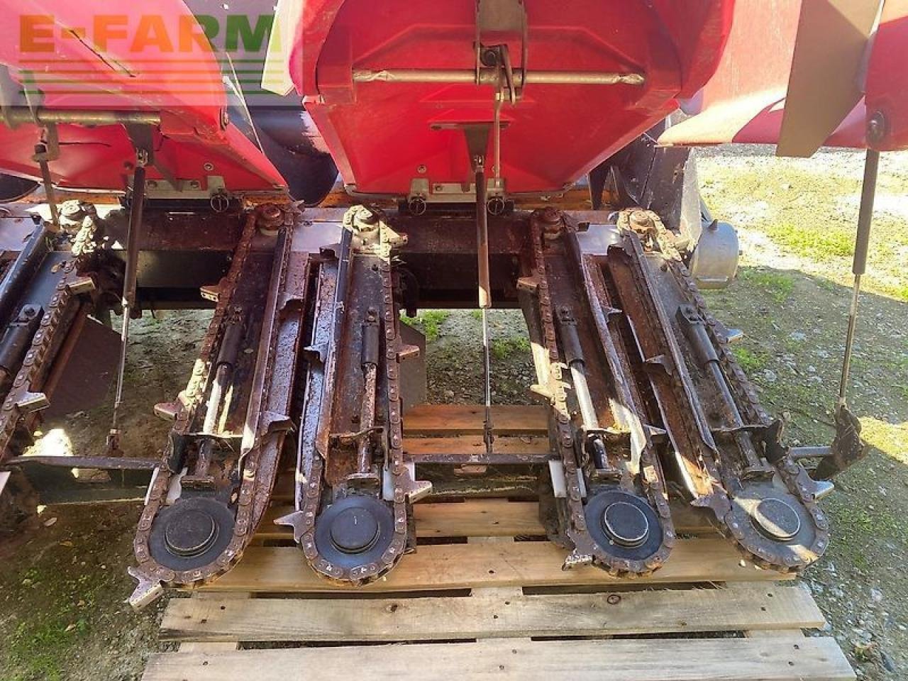 Sonstiges Mähdrescherzubehör typu Geringhoff rd 830/b, Gebrauchtmaschine v SZEGED (Obrázok 21)