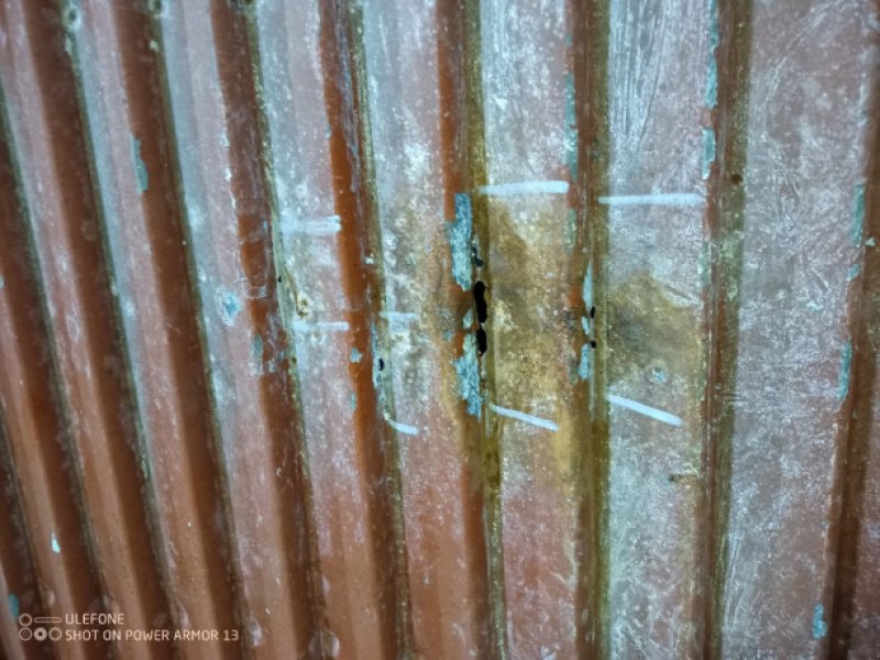 Sonstiges Mähdrescherzubehör des Typs Laverda 3650, Gebrauchtmaschine in Hemmet (Bild 12)