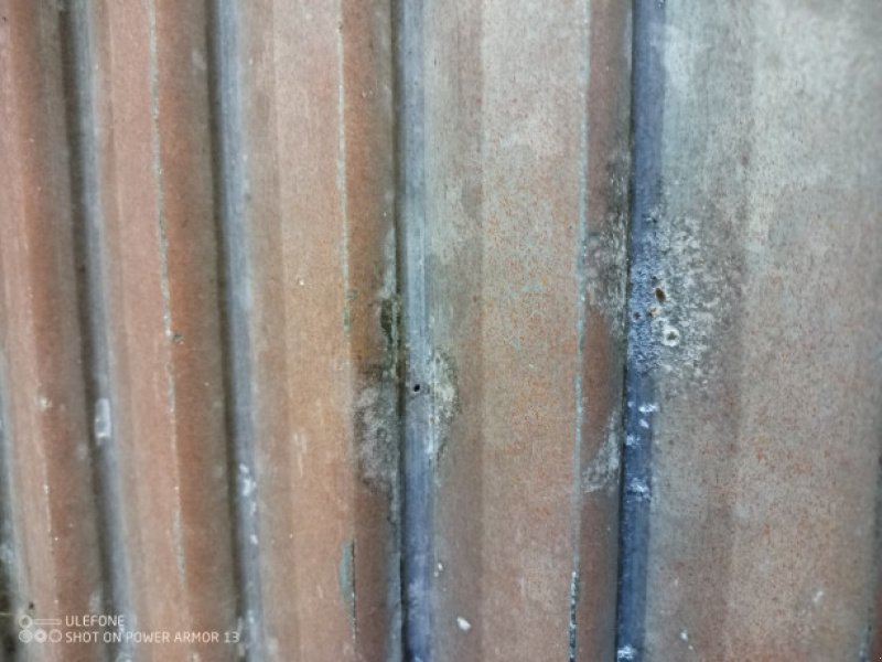 Sonstiges Mähdrescherzubehör des Typs Laverda 3650, Gebrauchtmaschine in Hemmet (Bild 13)