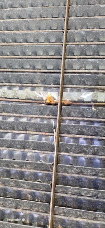 Sonstiges Mähdrescherzubehör des Typs Laverda L517, Gebrauchtmaschine in Hemmet (Bild 5)