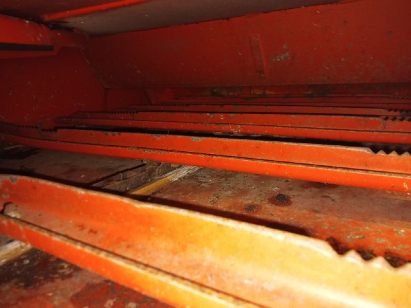 Sonstiges Mähdrescherzubehör des Typs Massey Ferguson 32, Gebrauchtmaschine in Hemmet (Bild 13)