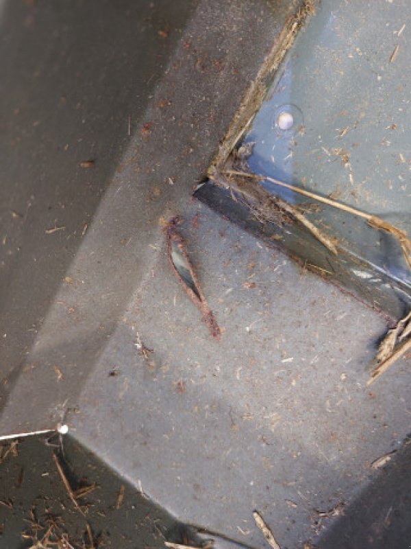 Sonstiges Mähdrescherzubehör des Typs Massey Ferguson 7278, Gebrauchtmaschine in Hemmet (Bild 7)