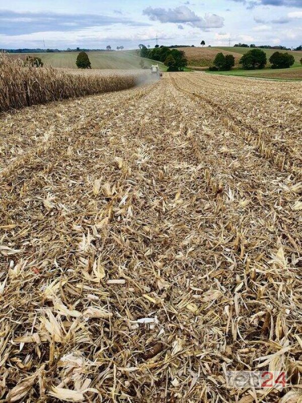 Sonstiges Mähdrescherzubehör typu Sonstige Stroh und Maisverteiler, Neumaschine v Östringen (Obrázek 9)