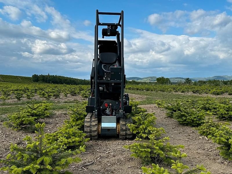 Sonstiges Traktorzubehör типа Niko Raupe Mähraupe Mulchraupe Weihnachtsbaumraupe Weihnachtsbäum, Gebrauchtmaschine в Schmallenberg (Фотография 7)
