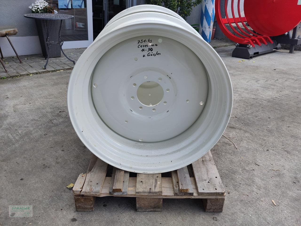 Sonstiges Traktorzubehör des Typs Renault Felgen Satz 14X30  neu 751-4s, MX u. Ceres, Neumaschine in Geiselhöring (Bild 1)
