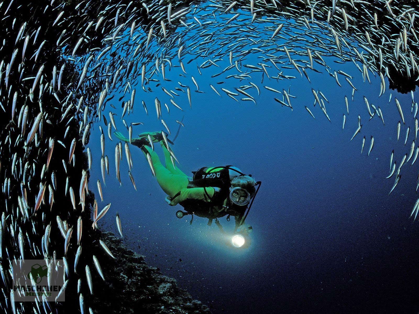 Sonstiges Traktorzubehör des Typs Sonstige Sonstige 800kg, Gebrauchtmaschine in Würzburg (Bild 5)