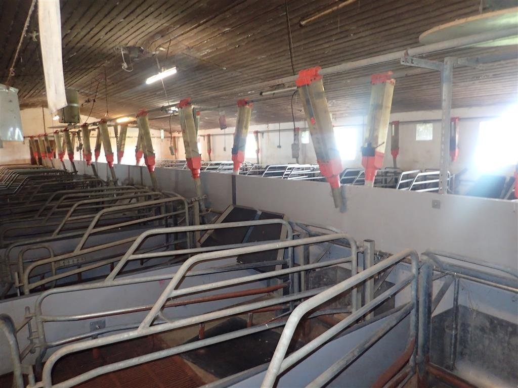 Sonstiges des Typs ACO-Funki ca. 200 stk. røde   AFHENTNING UDEN BEREGNING, Gebrauchtmaschine in Egtved (Bild 2)