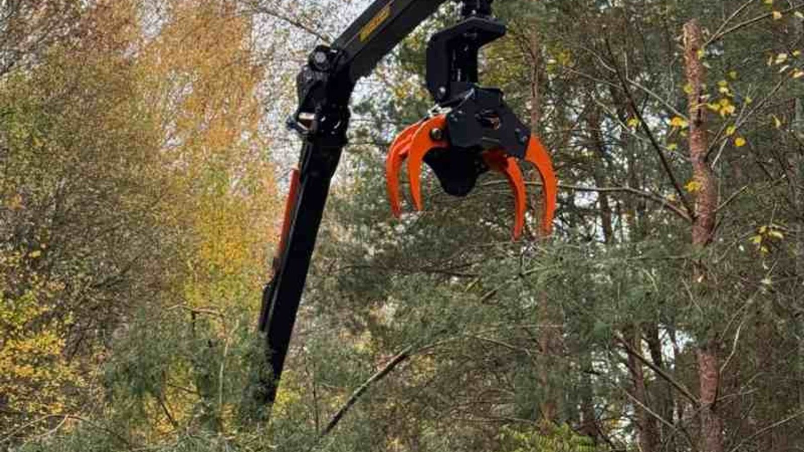 Sonstiges des Typs BMF fældegrab til skovvogn, Gebrauchtmaschine in Fredericia (Bild 4)