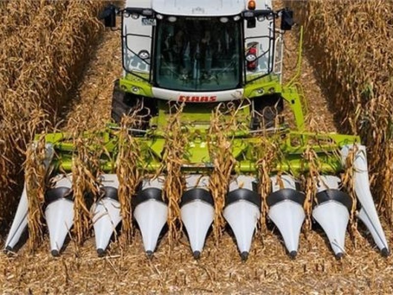 Sonstiges del tipo CLAAS Conspeed 8-75 FC På lager, Gebrauchtmaschine In Ribe (Immagine 1)