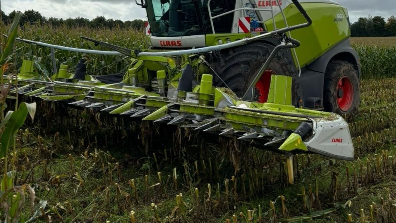 Sonstiges del tipo CLAAS ORBIS 900 Orbis 900, Gebrauchtmaschine en Hadsten (Imagen 1)