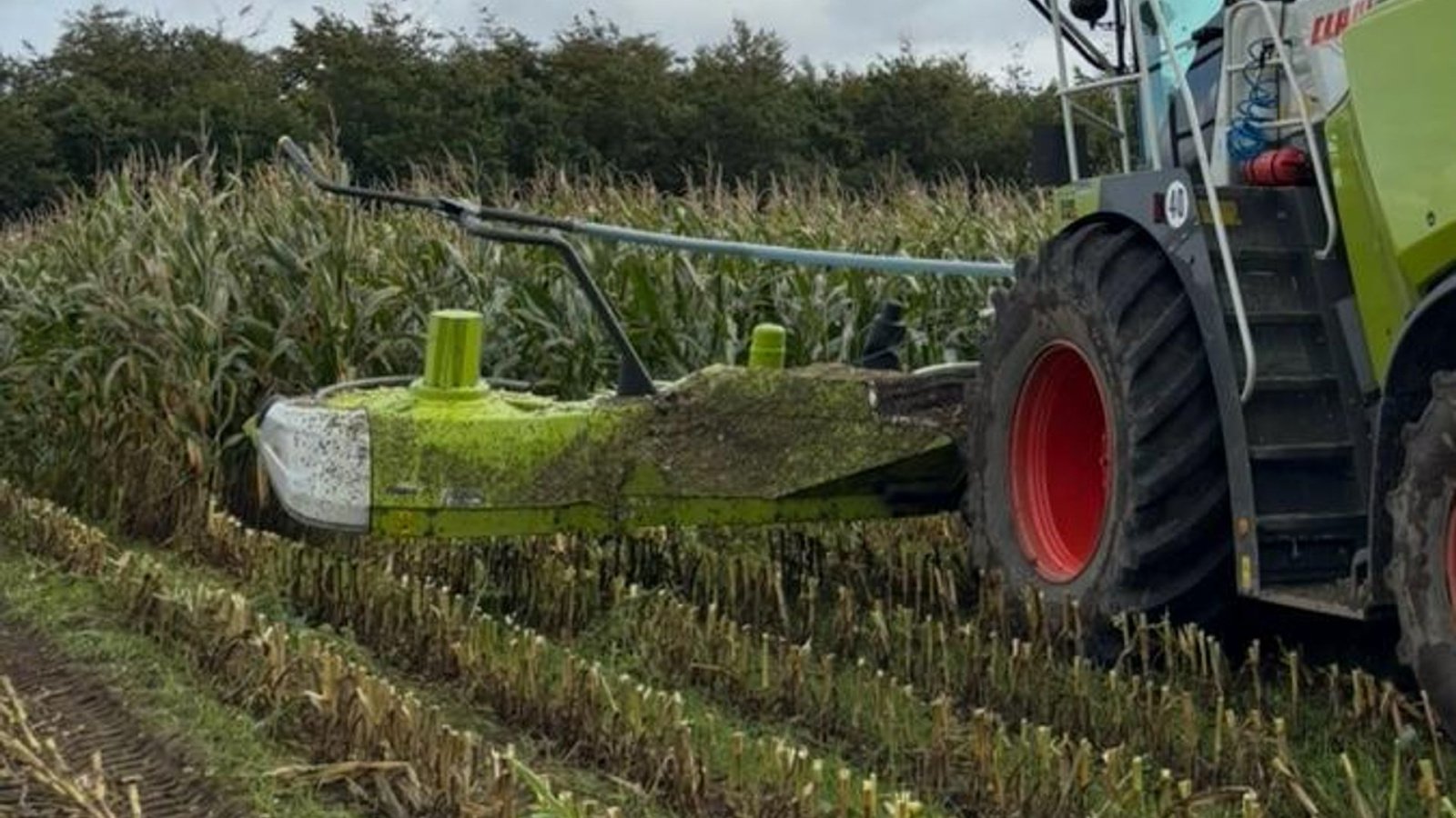 Sonstiges del tipo CLAAS ORBIS 900 Orbis 900, Gebrauchtmaschine en Hadsten (Imagen 2)