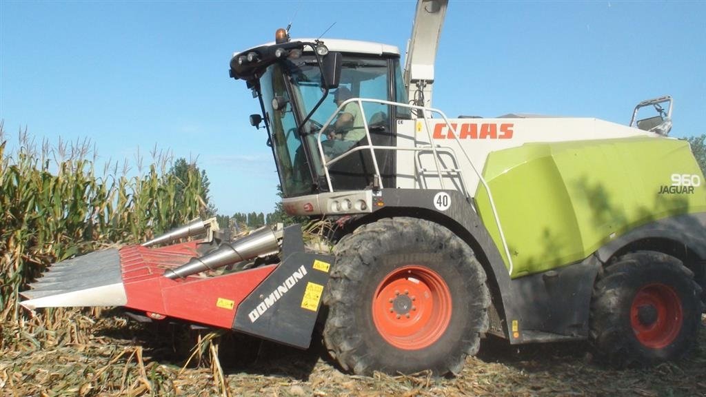 Sonstiges typu CLAAS Rock plukkebord, Gebrauchtmaschine w Rødekro (Zdjęcie 2)