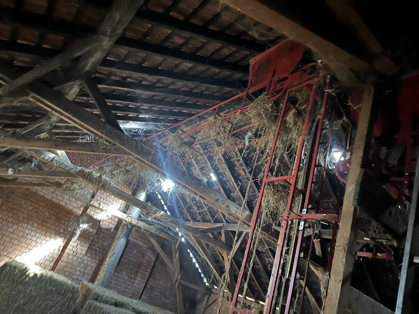 Sonstiges typu Diadem Ballenförderer, Gebrauchtmaschine v Manching (Obrázek 1)