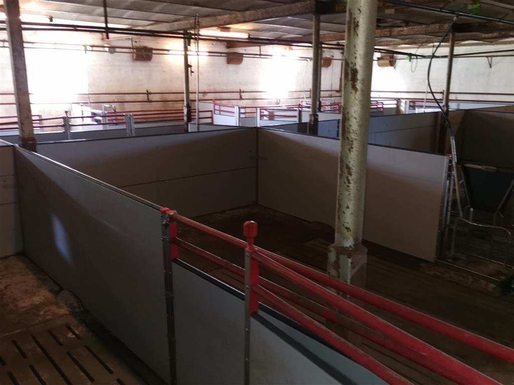 Sonstiges des Typs Egebjerg Slagtesvin inventar, Gebrauchtmaschine in Egtved (Bild 2)