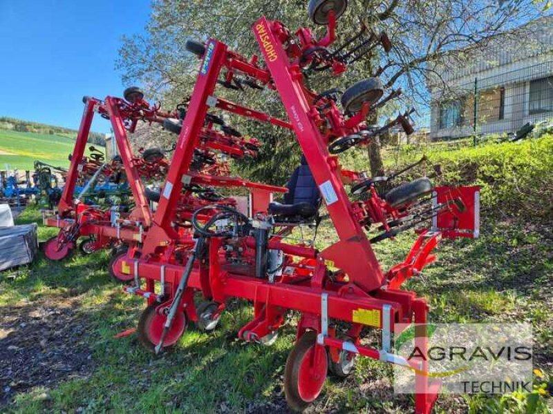 Sonstiges of the type Einböck CHOPSTAR EMS, Gebrauchtmaschine in Meschede-Remblinghausen (Picture 1)