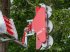 Sonstiges typu Fliegl WOODKING DUO, Gebrauchtmaschine w Aalestrup (Zdjęcie 3)