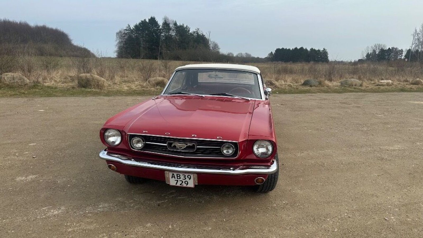 Sonstiges of the type Ford mustang, Gebrauchtmaschine in Rødovre (Picture 3)