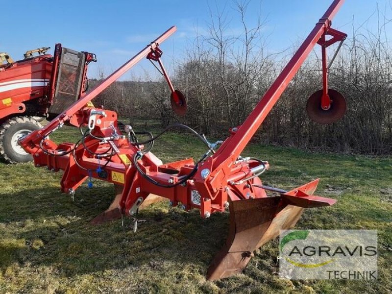 Sonstiges tip Grimme BFL 200 H, Gebrauchtmaschine in Walsrode