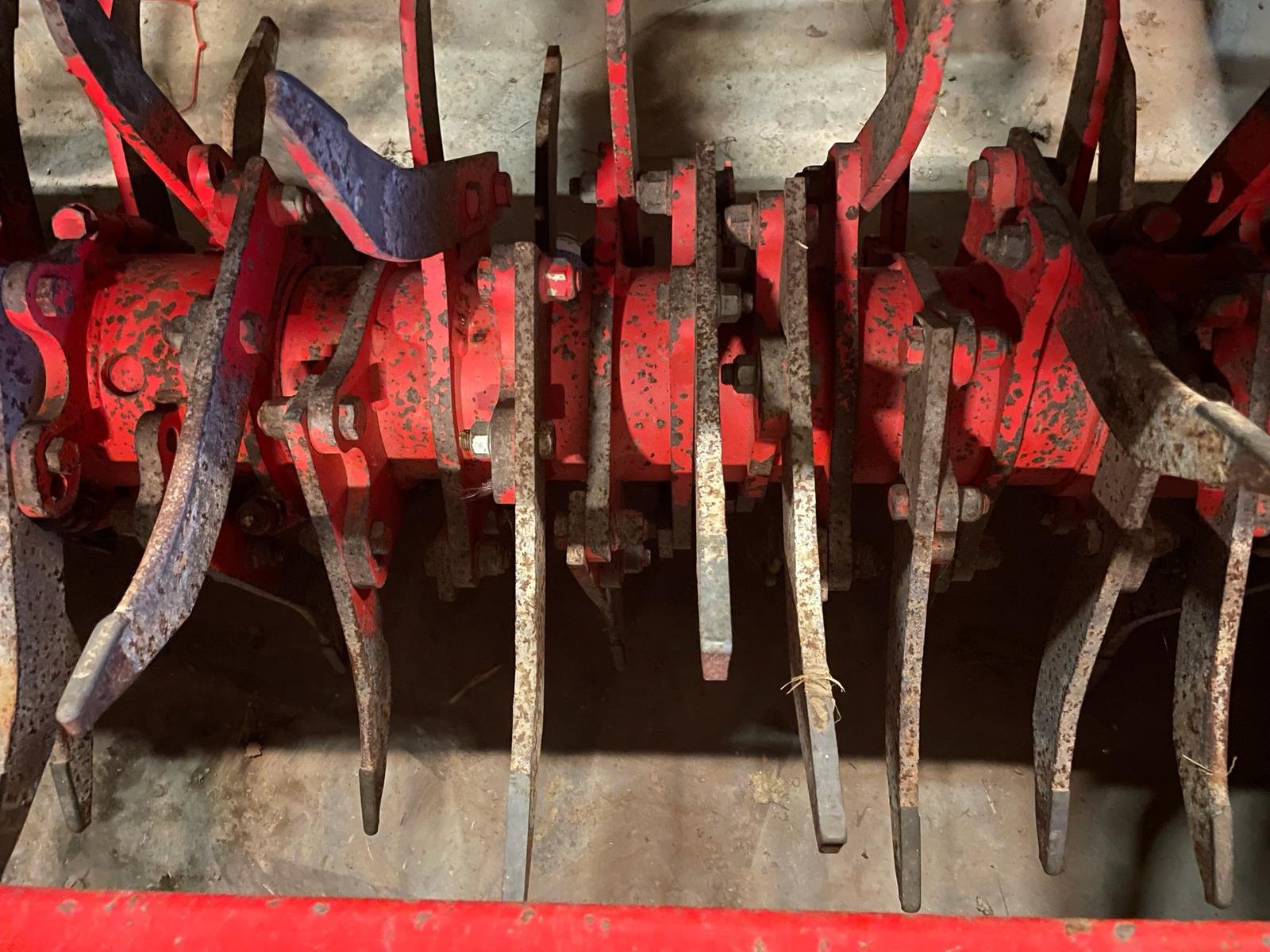 Sonstiges of the type Grimme GF 75-4, Gebrauchtmaschine in Geitzendorf (Picture 3)