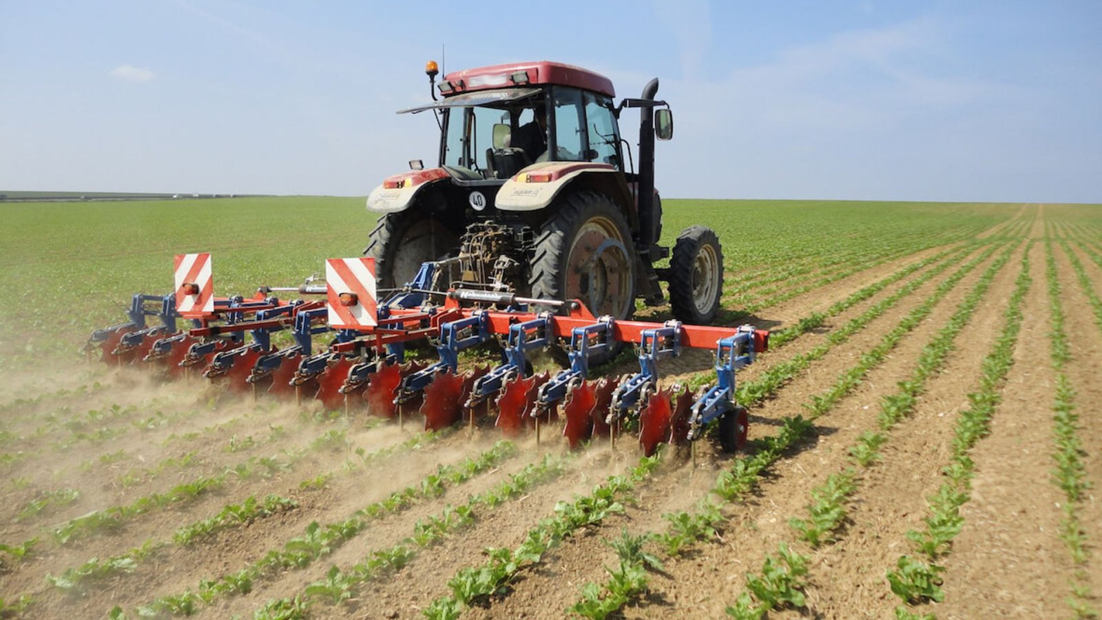 Sonstiges typu Hatzenbichler 12R - 50 12 rækker / 50 cm, Gebrauchtmaschine v Sabro (Obrázek 2)