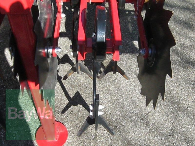 Sonstiges typu Horsch TRANSFORMER 6 VF, Vorführmaschine w Mindelheim (Zdjęcie 4)