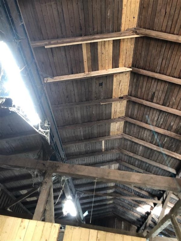 Sonstiges del tipo JEMA T 19 Transportbånd, ca. 13 meter  (Moms fri), Gebrauchtmaschine In Egtved (Immagine 4)