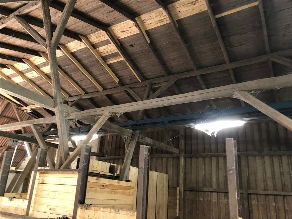 Sonstiges del tipo JEMA T 19 Transportbånd, ca. 13 meter  (Moms fri), Gebrauchtmaschine In Egtved (Immagine 2)