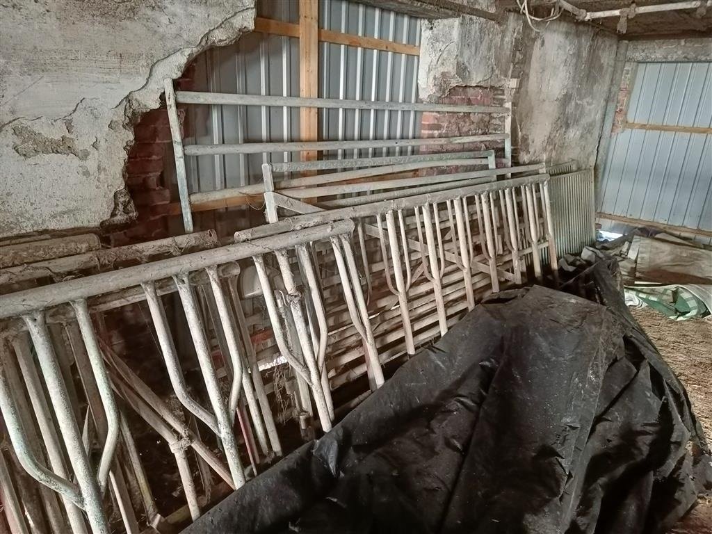 Sonstiges des Typs Jyden Fangegitter/mellemgitter, Gebrauchtmaschine in Egtved (Bild 3)