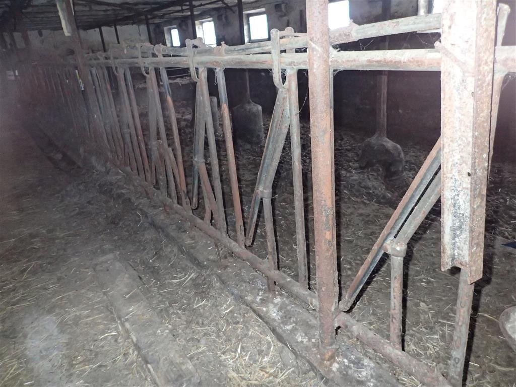 Sonstiges des Typs Jyden Fangegitter/mellemgitter, Gebrauchtmaschine in Egtved (Bild 5)