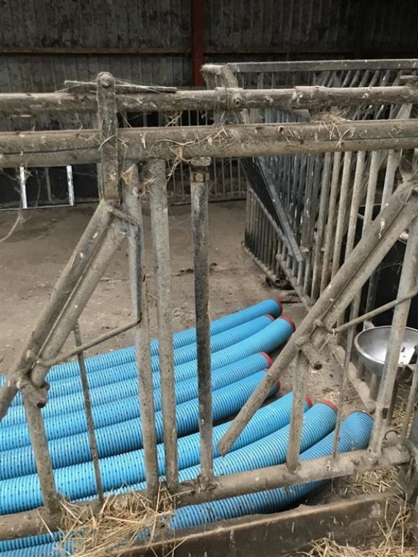 Sonstiges a típus Jyden Fanggitter til kvæg. Justerbar halsåbning, Gebrauchtmaschine ekkor: øster ulslev (Kép 6)