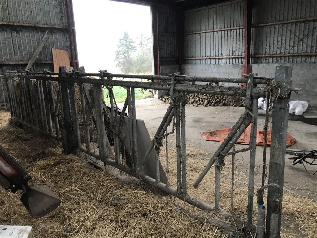 Sonstiges a típus Jyden Fanggitter til kvæg. Justerbar halsåbning, Gebrauchtmaschine ekkor: øster ulslev (Kép 5)