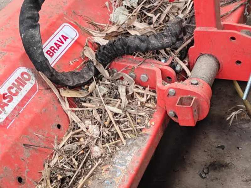 Sonstiges a típus Maschio Brava 200 ---  BRAVA 200 ---, Gebrauchtmaschine ekkor: Høng