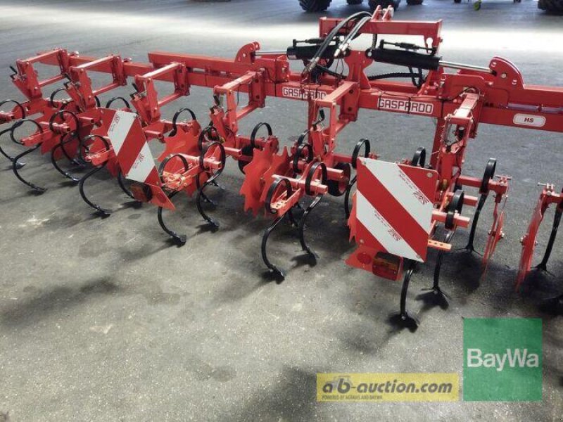 Sonstiges za tip Maschio HACKMASCHINE GASPARDO HS 8 R., Gebrauchtmaschine u Erbach (Slika 8)