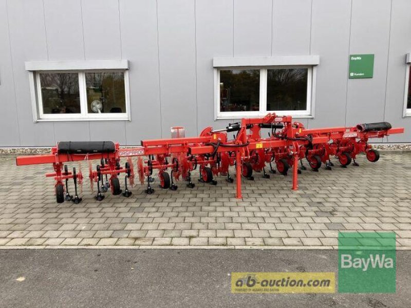 Sonstiges typu Maschio MASCHIO HS HACKGERÄT 8-REIHIG, Gebrauchtmaschine v Großweitzschen (Obrázek 1)