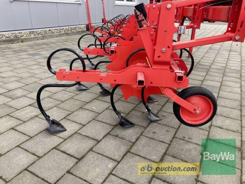 Sonstiges del tipo Maschio MASCHIO HS HACKGERÄT 8-REIHIG, Gebrauchtmaschine In Großweitzschen (Immagine 4)