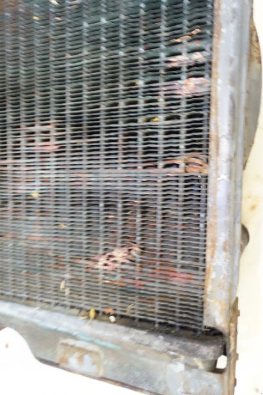 Sonstiges des Typs Massey Ferguson 35, Gebrauchtmaschine in Hemmet (Bild 15)