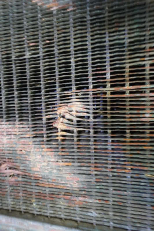 Sonstiges des Typs Massey Ferguson 35, Gebrauchtmaschine in Hemmet (Bild 14)