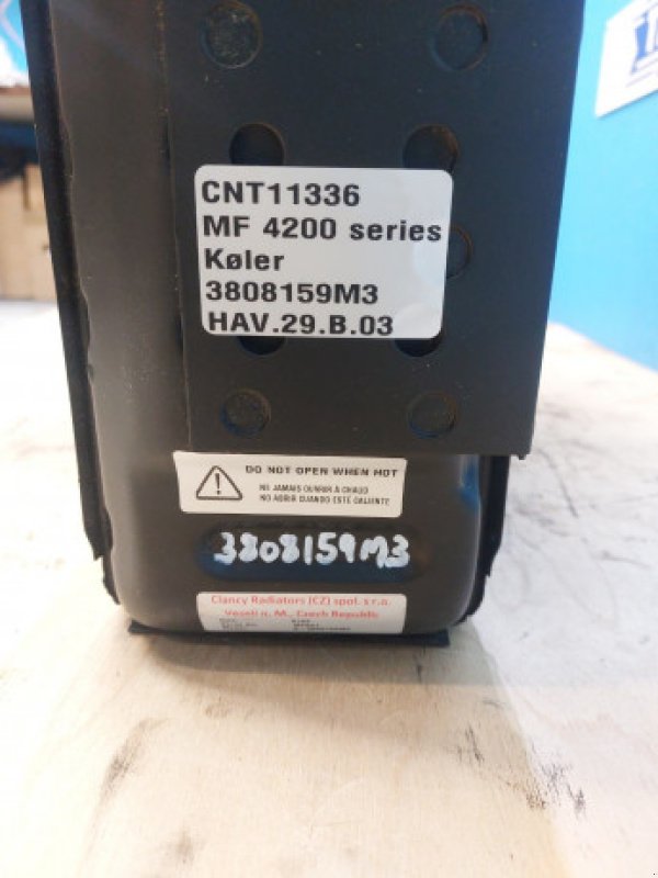 Sonstiges typu Massey Ferguson 4200, Gebrauchtmaschine v Hemmet (Obrázek 13)