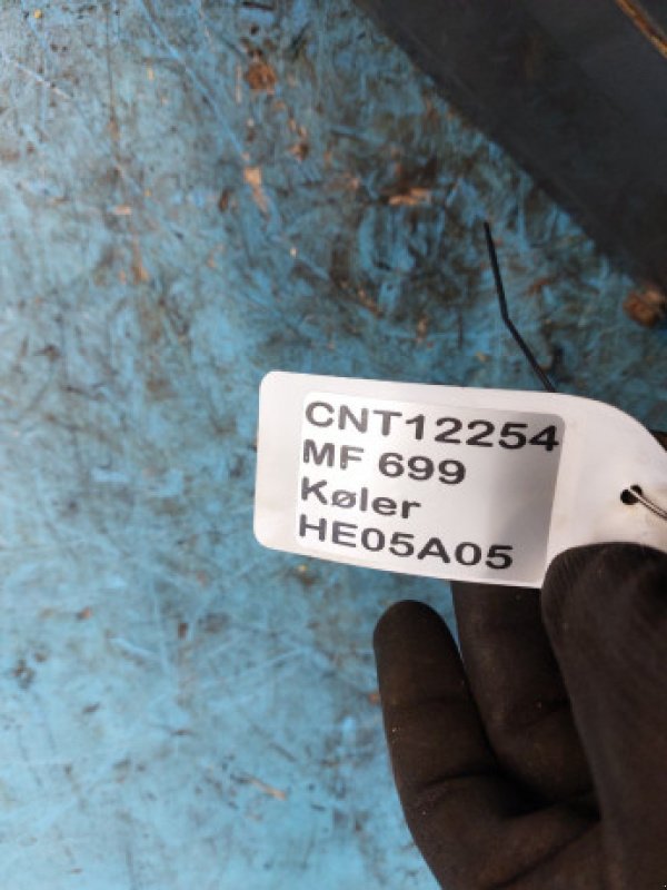 Sonstiges des Typs Massey Ferguson 699, Gebrauchtmaschine in Hemmet (Bild 15)