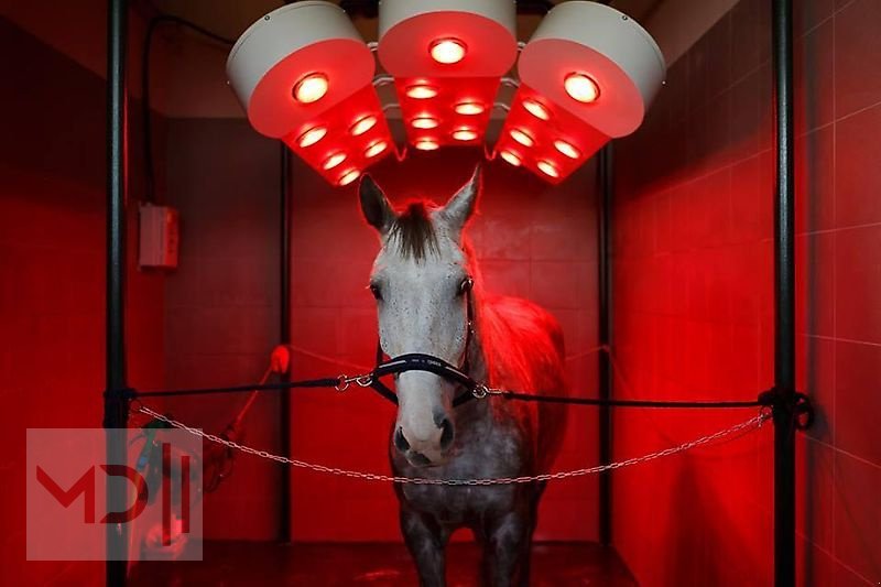 Sonstiges des Typs MD Landmaschinen BM Pferdesolarium SOLAR-TEC1, Neumaschine in Zeven (Bild 2)